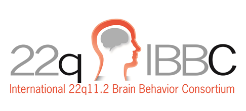 International 22q11.2 Brain Behavior Consortium